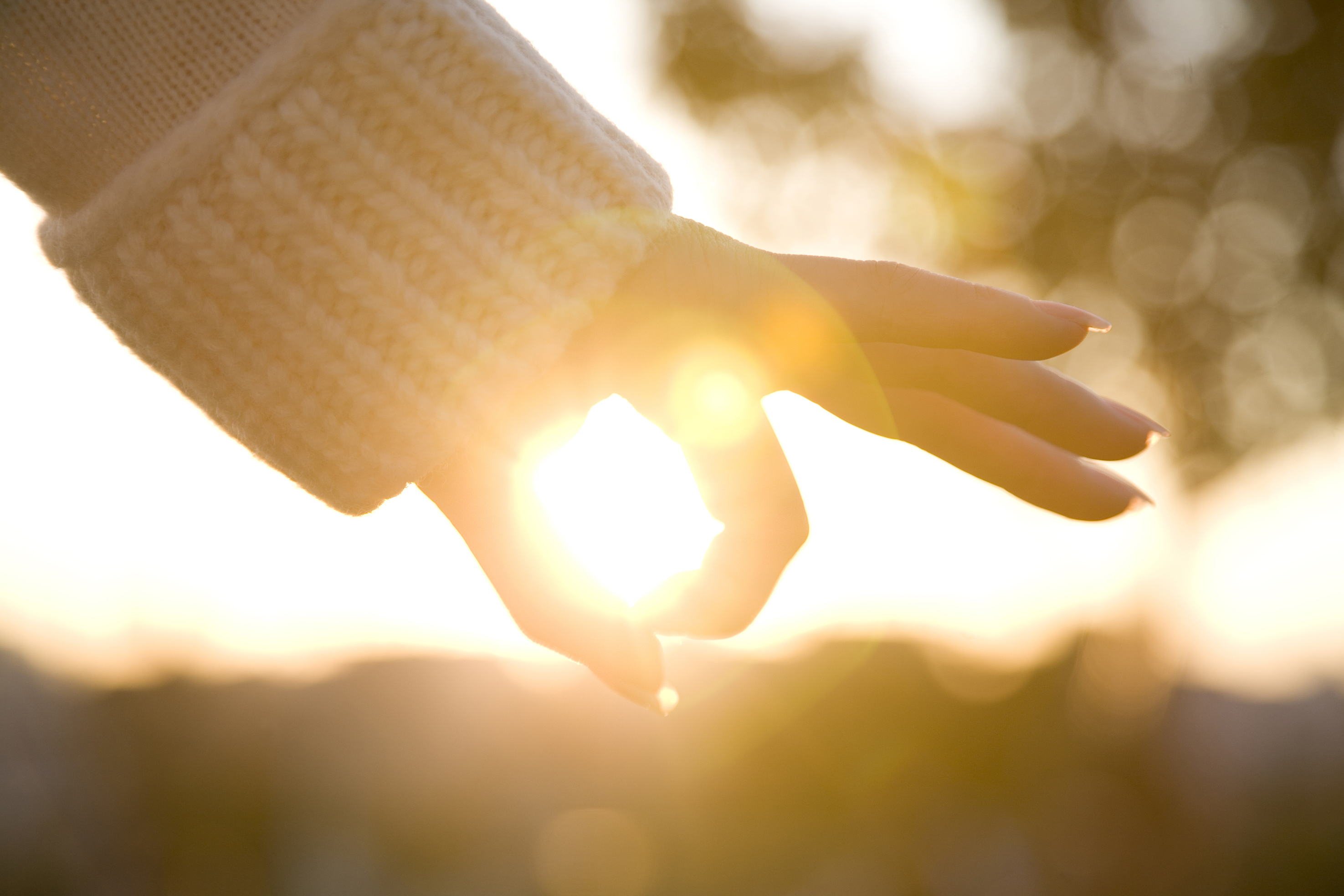 ～　頼れるスタッフがお出迎え　～の写真